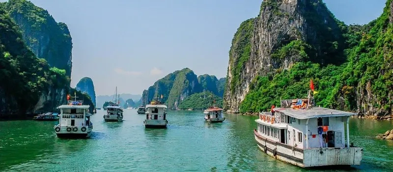 10 choses à faire en baie Halong 2024 | Agence de voyage locale au Vietnam