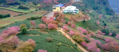 16 meilleures choses à faire au Vietnam Sapa pour les nouveaux visiteurs (1)