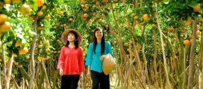 Guide francophone my tho cai be tien giang vietnam