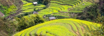 Rizières en terrasse de Mu Cang Chai agence de voyage au vietnam