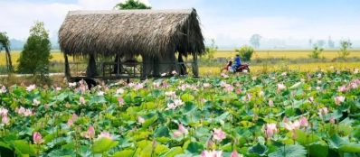 À la découverte des 13 provinces du Delta du Mékong au Vietnam (2)