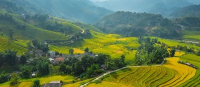 Admirer rizières en terrasses​ Sapa avec un Guide francophone au Vietnam