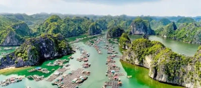 Baie d'Ha Long Vietnam: Un trésor géologique millénaire à explorer