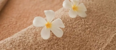 Bien-être et relaxation: Retraites spa et méditation de luxe au Vietnam