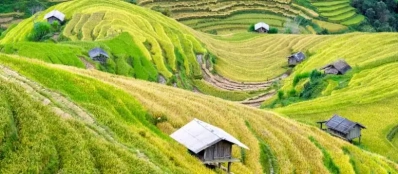 Bonnes astuces pour réussir son voyage au Vietnam de courte durée