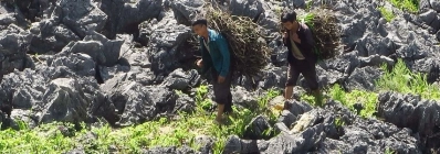 Champ de pierres antiques de Sapa agence de voyage au vietnam