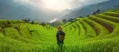 Circuit au Vietnam en mars: Conseils, météo et plus