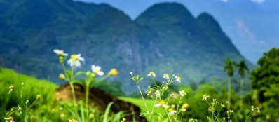 Circuit Découvert Pu Luong avec notre agence de voyage au Vietnam