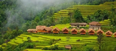 Circuit Nord Vietnam: Admiration de la saison de récolte du riz Ha Giang