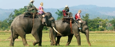 Course d'éléphants dak lak agence de voyage au vietnam