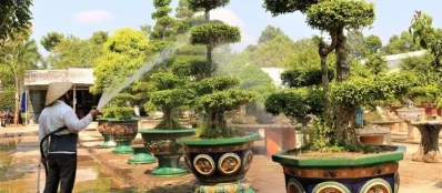 Croisiere au delta du Mekong pour découvrir des jardins de bonsaïs