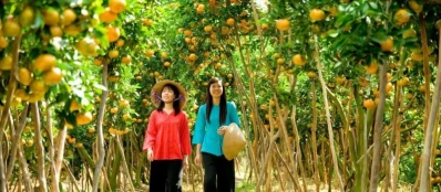 Croisiere au delta du Mekong pour visiter des vergers et jardins fruitiers