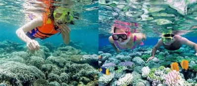 Croisiere en baie Halong pour faire de la plongée près de ile de Cong Do