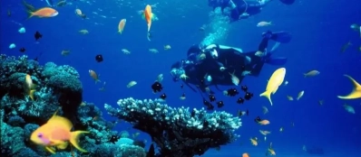 Découverte des réserves marines préservées | Circuit au Vietnam sur mesure