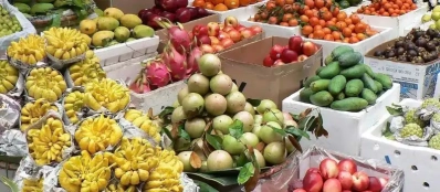 Dégustation des fruits lors voyage au Vietnam sur mesure