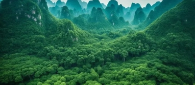 Ecosystèmes diversifiés et biodiversité unique | Circuit au Vietnam sur mesure