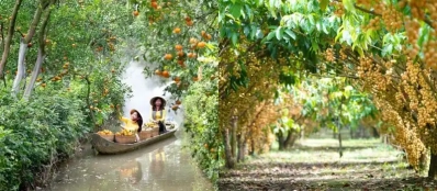 Excursion dans les vergers de fruits Croisiere au delta du Mekong