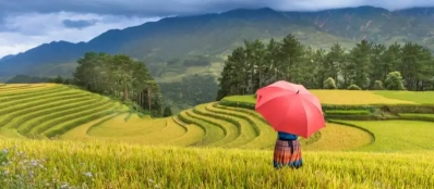 Expériences de voyage nature et culture à partager en famille au Vietnam