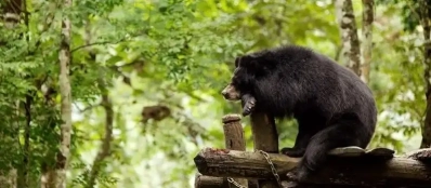Exploration des parcs nationaux et réserves naturelles au Laos