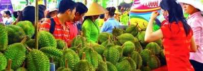 Festival des fruits du Sud à Hô Chi Minh-Ville vietnam