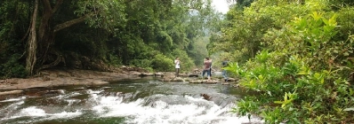 Forêt primitive de Khe Ro agence de voyage loale francophone au vietnam