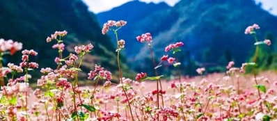 Géographie du Vietnam