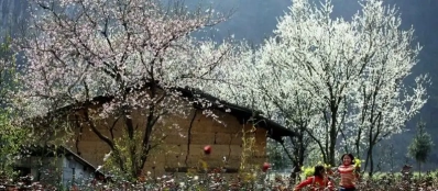 Guide complet pour voyage à Dien Bien