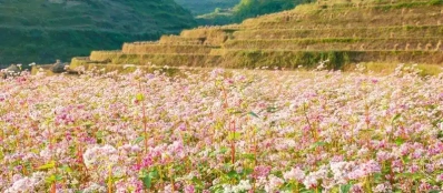 Guide francophone Dong van Meo vac Ha giang