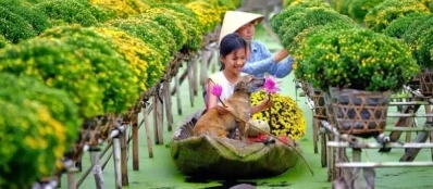 Guide francophone Sa Dec Dong Thap vietnam