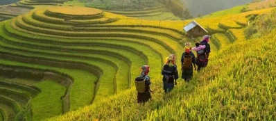 Guide francophone Sapa Lao Cai