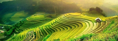 Trekking hoang su phi agence de voyage locale au vietnam voyage sur mesure