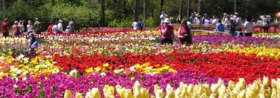 Jardin des fleurs de Da Lat agence de voyage au vietnam