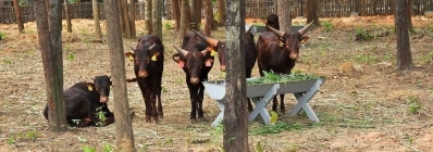 La ferme aux serpents de Dong Tam agence de voyage