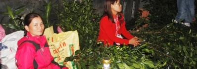 La maison communale de Bich La agence de voyage au vietnam