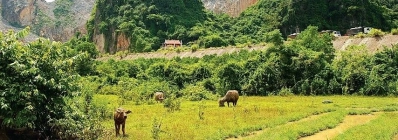 La montagne Man quang ninh agence de voyage au vietnam