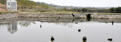 Le champ de pieux de Bach Dang agence de voyage au vietnam