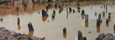 Le champ de pieux de Bach Dang agence de voyage au vietnam