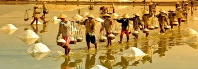 Le marais salant Bach Long agence de voyage au vietnam