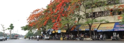 Le marché Sat voyage hai phong agence de voyage locale au vietnam