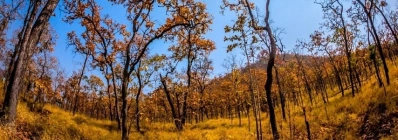 Le parc national de YokDon agence de voyage au vietnam