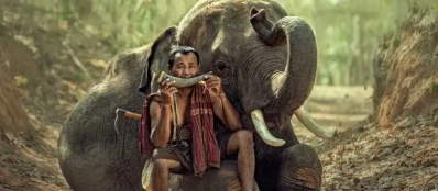 Les plus belles zones protégées à ne pas manquer au Laos