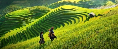 Visite rizières en terrasse à Sapa - Agence de voyage au Vietnam