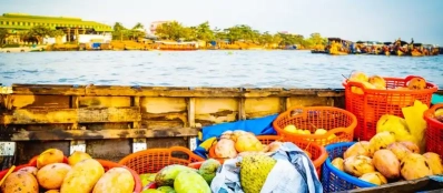 Meilleures choses à faire au sud du Vietnam