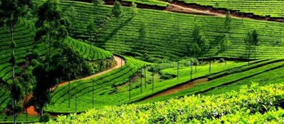 Nom officiel de la Nation