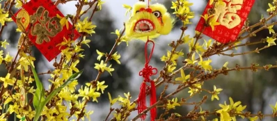 Nouvel An lunaire - Voyage au Vietnam authentique