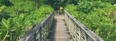 parc national de Con Dao agence de voyage au vietnam 