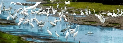 Parc national Xuân Thuy agence de voyage au vietnam