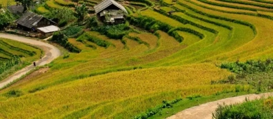 Partez à l'aventure: Les 10 plus beaux treks du Nord Vietnam avec guide local