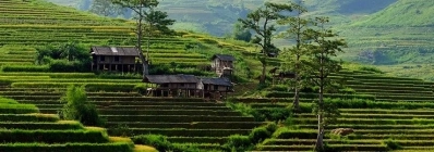 Paysage Ban Mu Yen Bai agence de voyage au vietnam