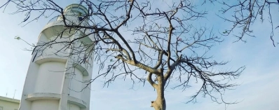 phare de Vung Tau agence de voyage au vietnam